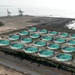 FISHFARMINGMEDOC