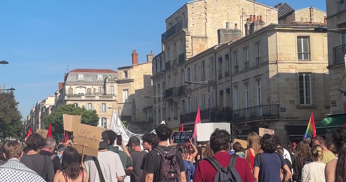 Cortège de la mobilisation lycéenne dans le centre de Bordeaux, manifestants de dos avec pancartes